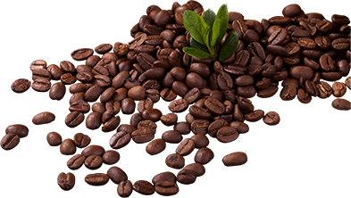 Höhner´s Lokale Genüsse, Bahnhofstraße 19, 75417 Mühlacker, Jetzt informieren unter: 015161533678