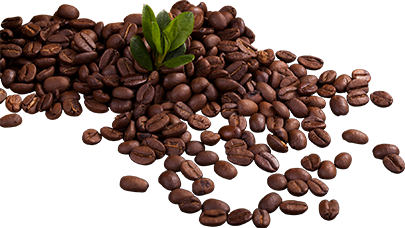 Höhner´s Lokale Genüsse, Bahnhofstraße 19, 75417 Mühlacker, Jetzt informieren unter: 015161533678