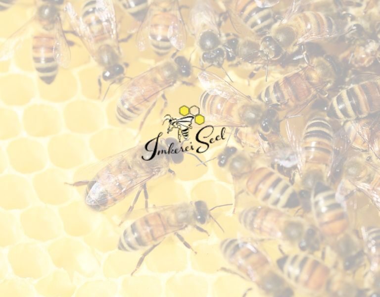 Höhner’s Lokale Genüsse – Ihr Café und Feinkosttreffpunkt für frische, nachhaltig hergestellte Spezialitäten aus der Region.